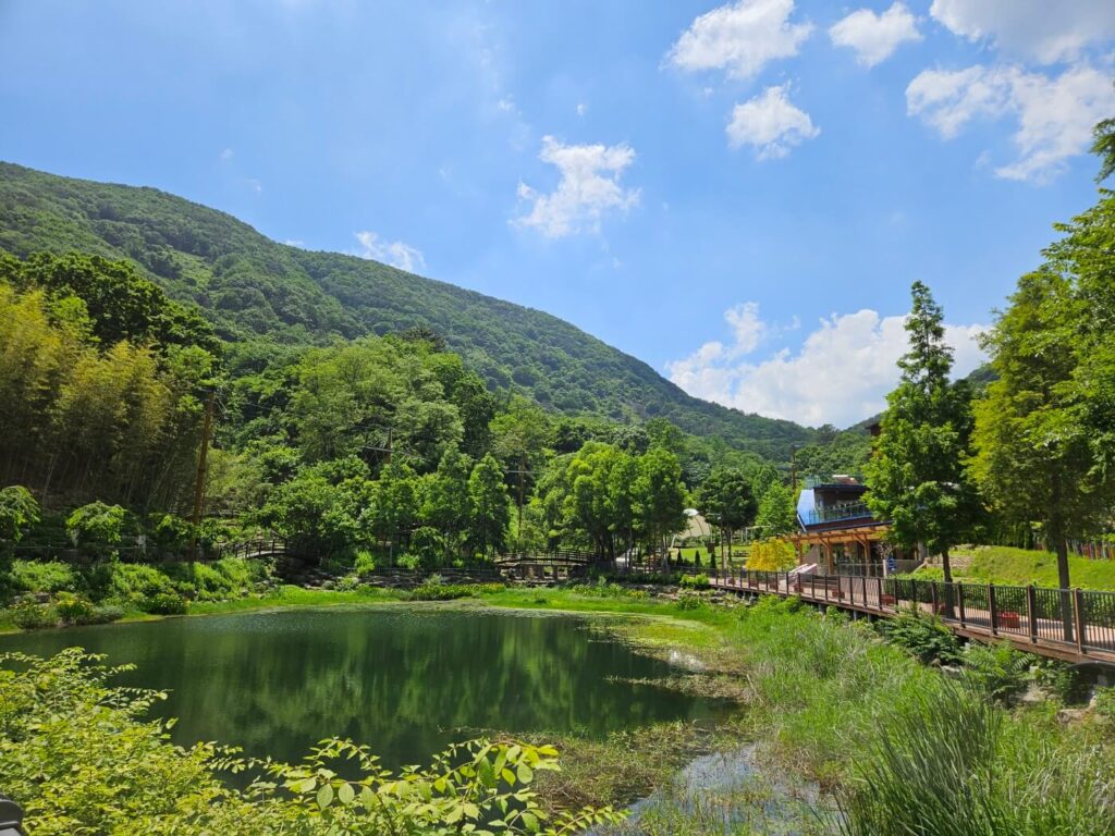 야외용 포충기 스마트키퍼 진주시 월아산 숲속의 진주